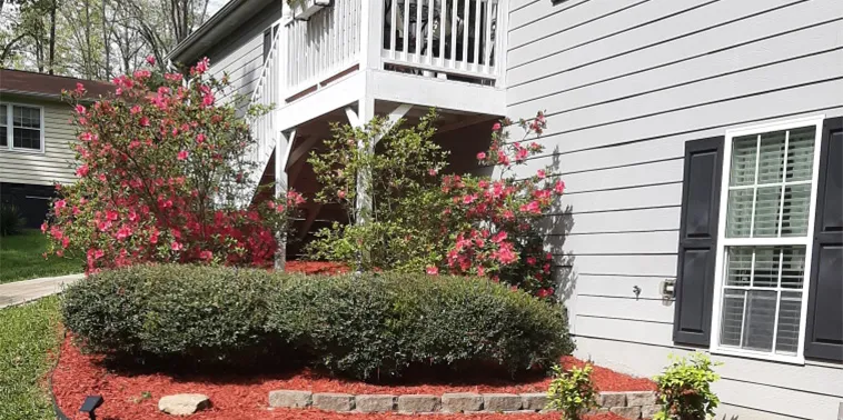 A vibrant flower bed with red mulch and shrubs adorns the front of a charming house.